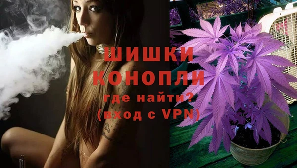 амф Арсеньев