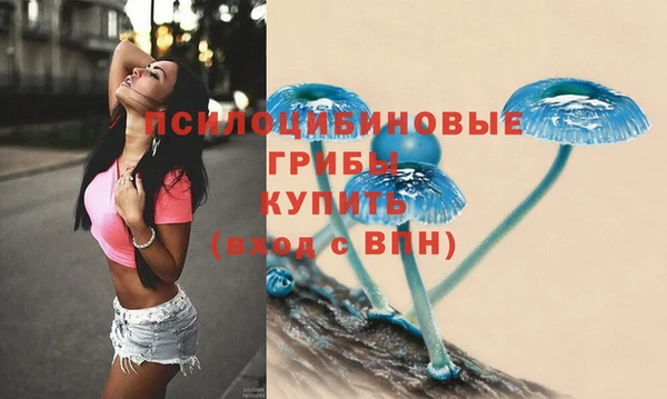 ALPHA-PVP Армянск