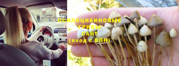прущий лед Аркадак