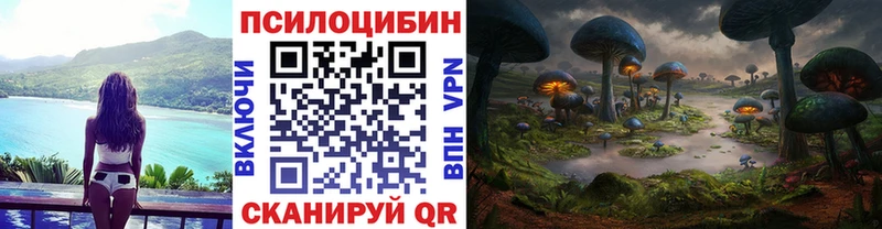 Псилоцибиновые грибы Psilocybine cubensis купить Пятигорск