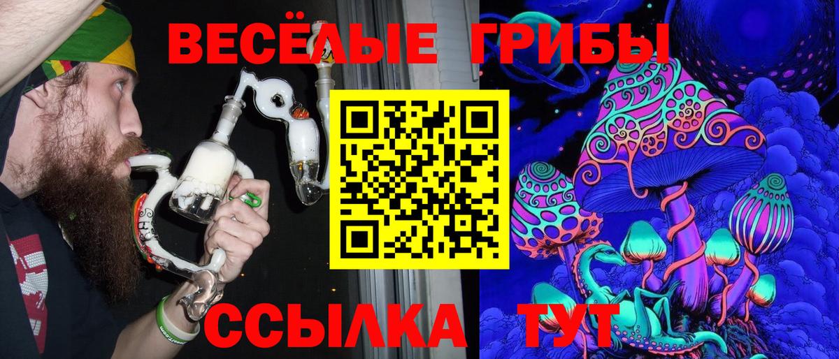 Псилоцибиновые грибы Psilocybine cubensis  Галлюциногенные грибы MAGIC MUSHROOMS  Вход с VPN  Пятигорск 